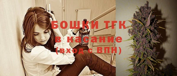 соль ск Богородицк