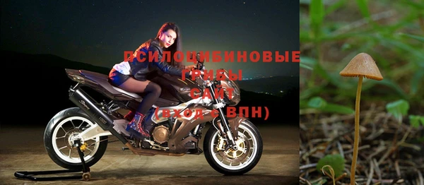 соль ск Богородицк